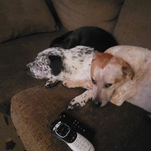 Meet your Posher, Adam